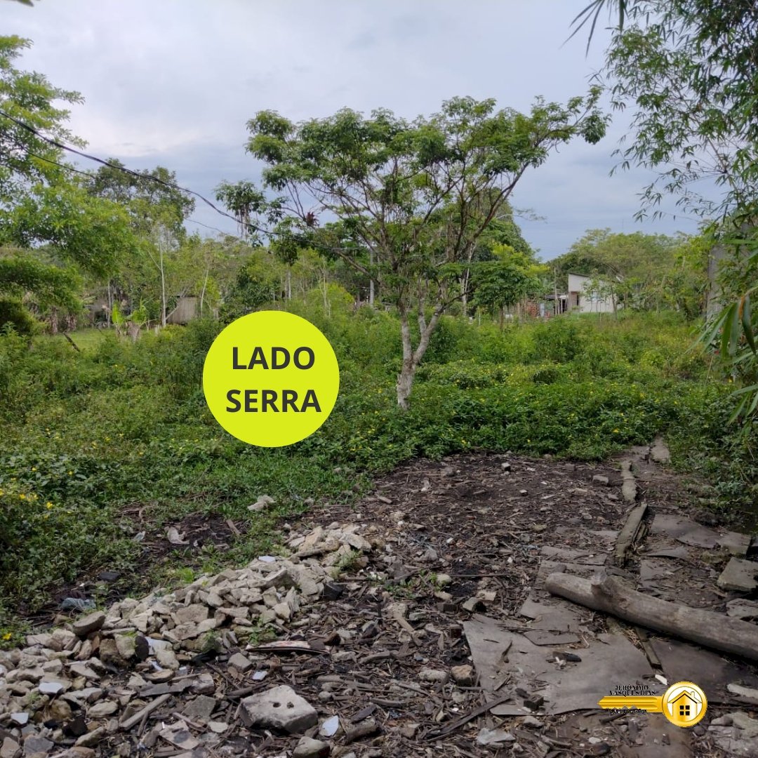 Terreno